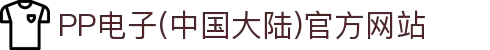 PP电子(中国大陆)官方网站