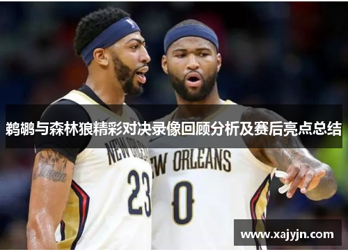 鹈鹕与森林狼精彩对决录像回顾分析及赛后亮点总结